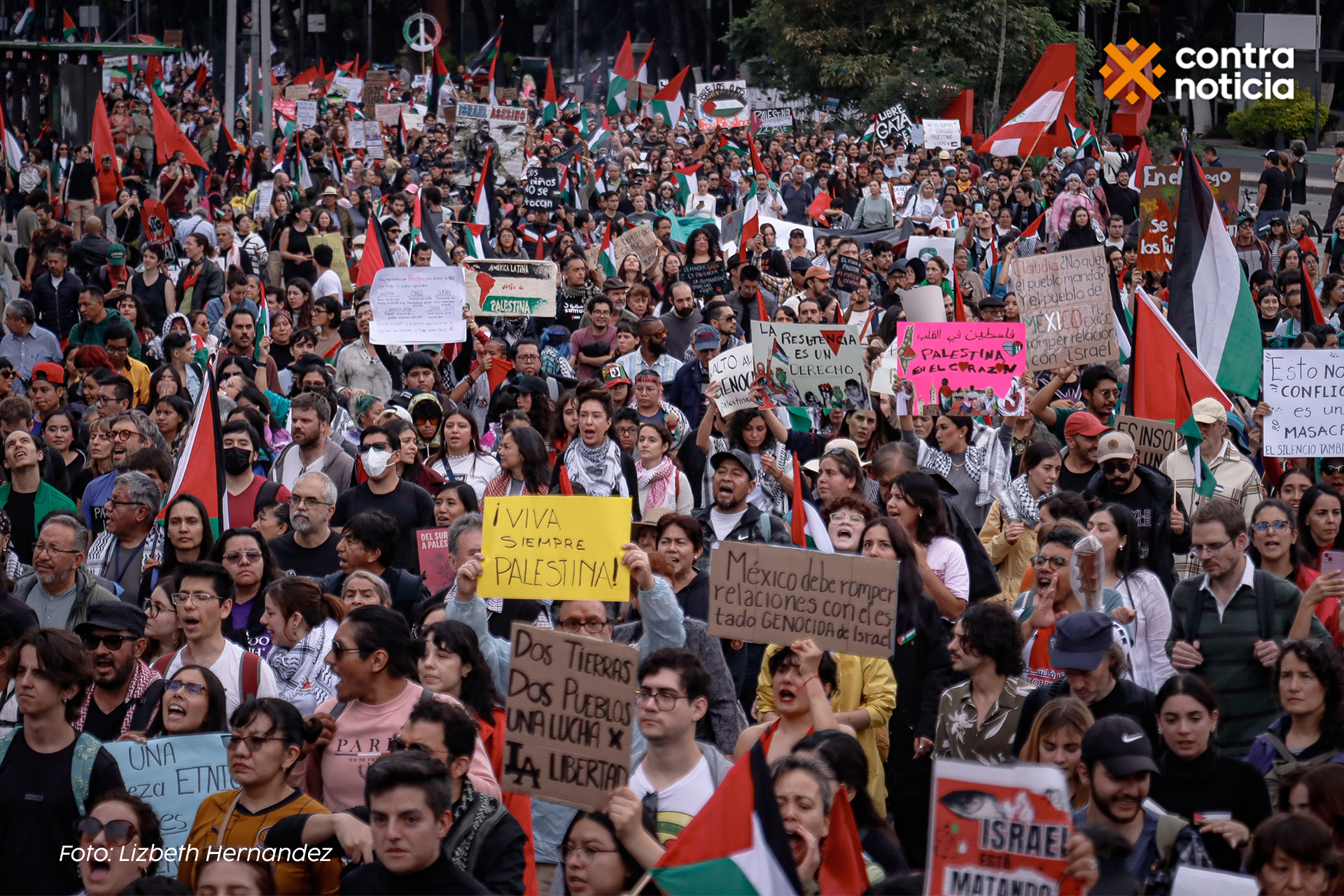 Palestina no está sola: miles marchan en América Latina por su libertad