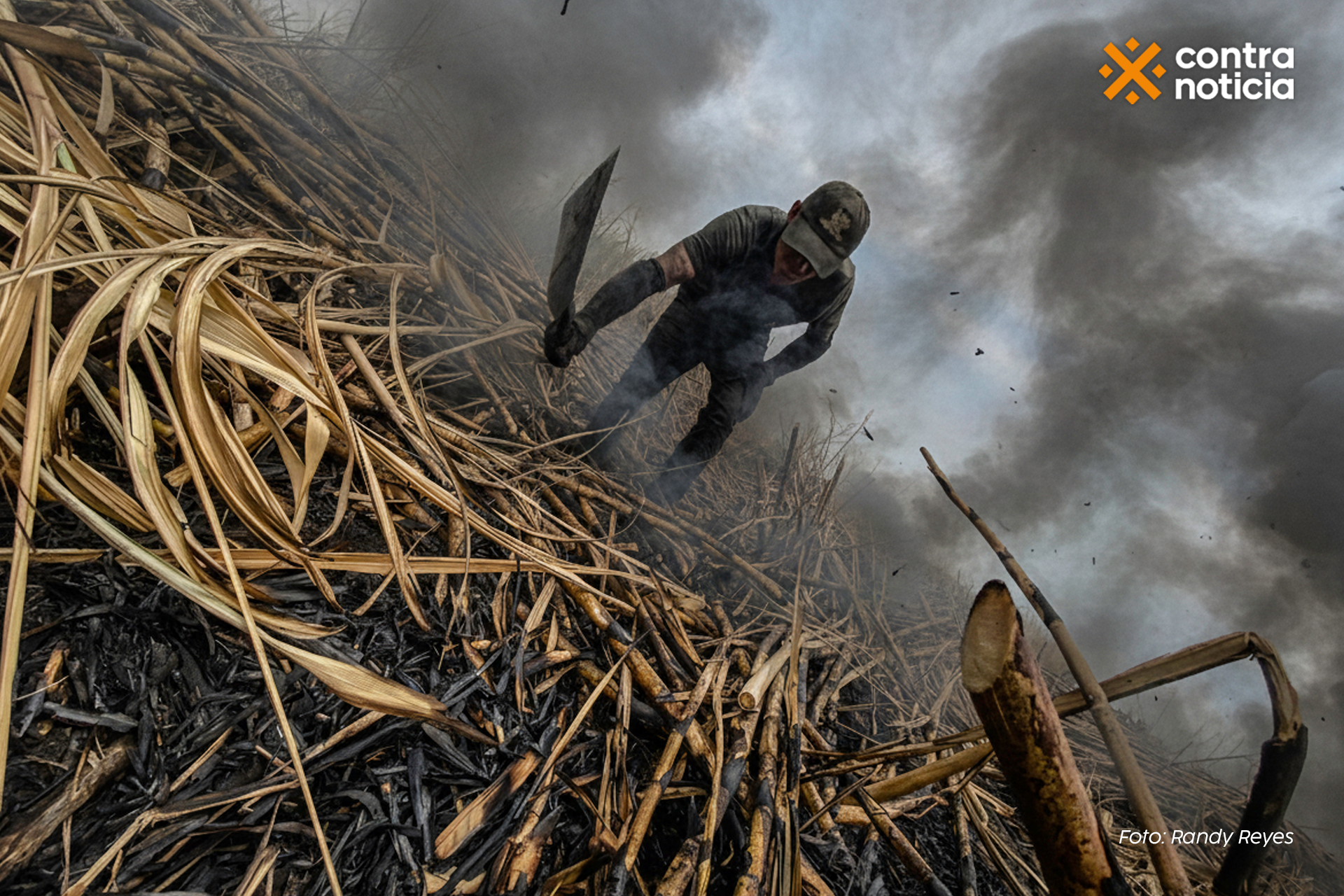 El lado amargo del azúcar: la otra cara de lo dulce que hay en tu mesa
